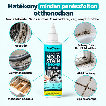 Penészfolt Eltávolító Gél